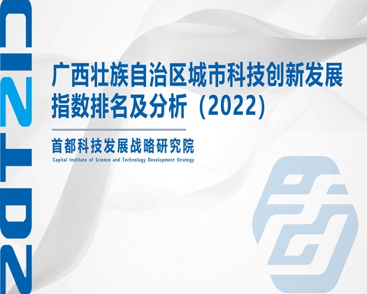 爱爱爱屄视频【成果发布】广西壮族自治区城市科技创新发展指数排名及分析（2022）